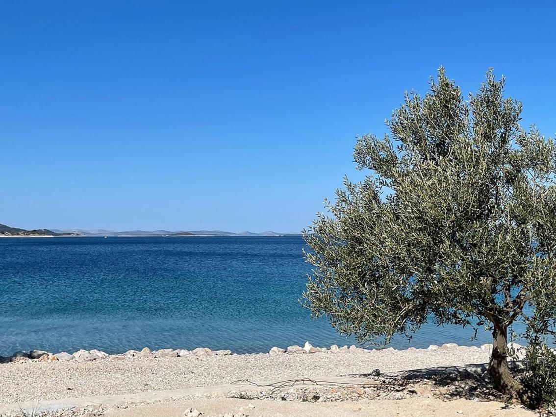 Villa Koral Drage Dış mekan fotoğraf